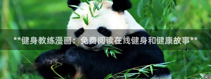 龙八棋牌