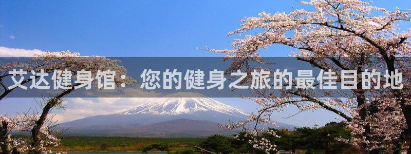 龙8国际官网