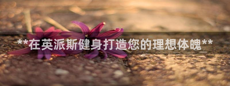 国际龙8官方网站