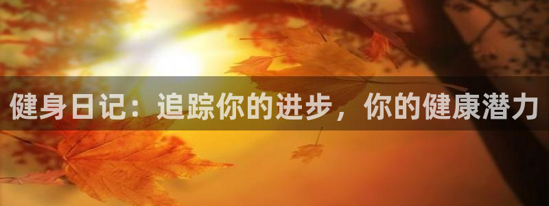 龙8国际pt