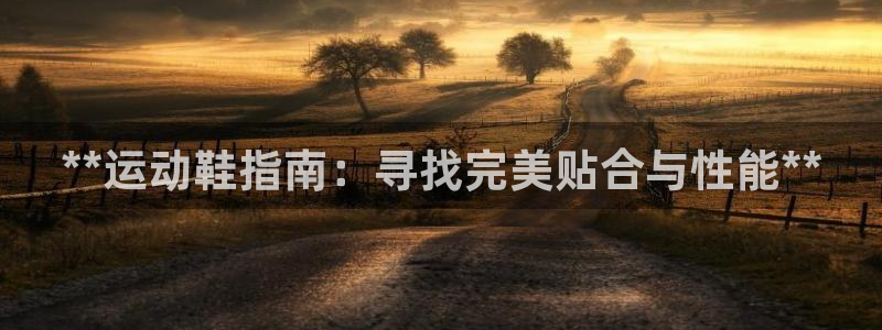 龙八国际网页
