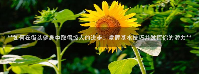 下载龙8国际
