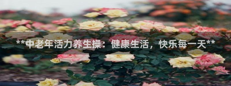 龙8手机游戏官网