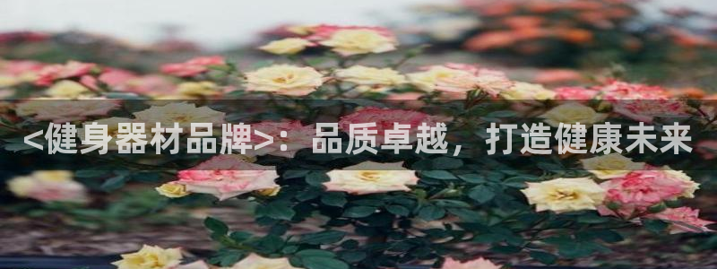 龙8国际app下载官网手机版最新版