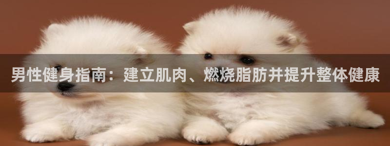 龙8游戏官方网站z