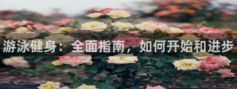 龙8国际pt