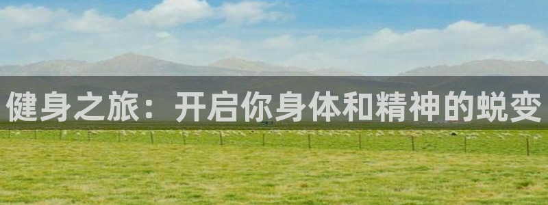 龙8国际怎么样