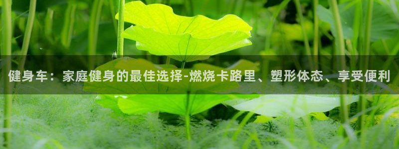 龙8国际官网app下载