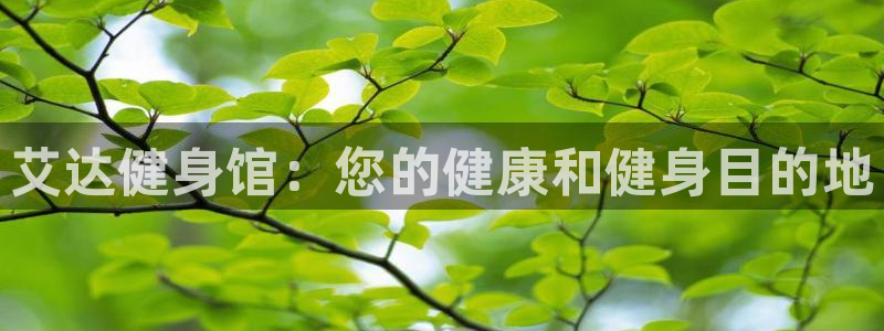 龙8国际官网版最新版下载