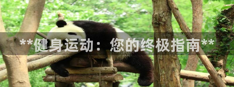 龙8国际害死多少人