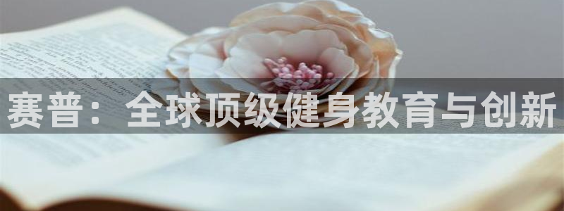 龙八国际娱
