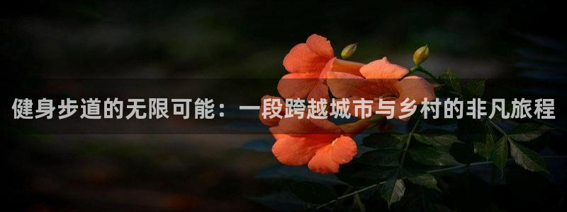 龙8国际怎么进不去了
