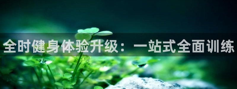 国际龙8下载