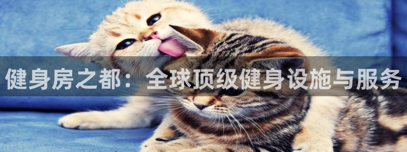 龙8国际官网下载