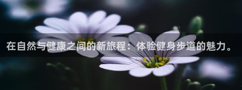 龙8国际老虎机官网