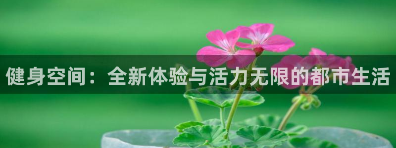 龙八国际娱乐官方网站