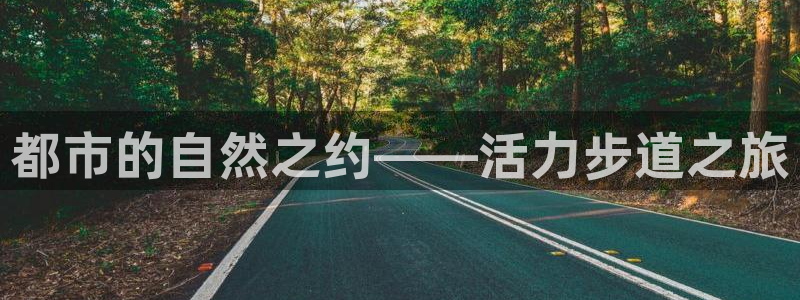 龙8国际手机游戏官网
