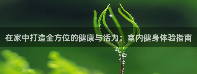 龙8国际是什么平台