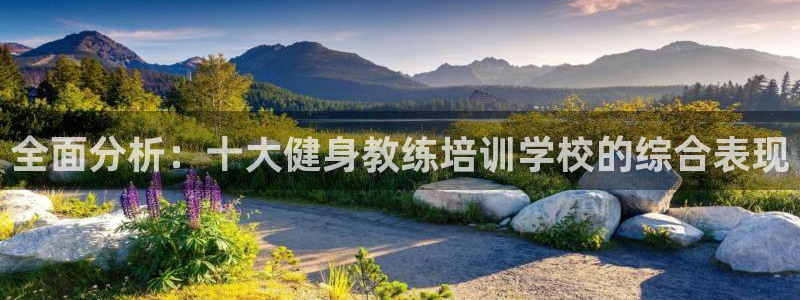 龙8国际手机游戏官网下载