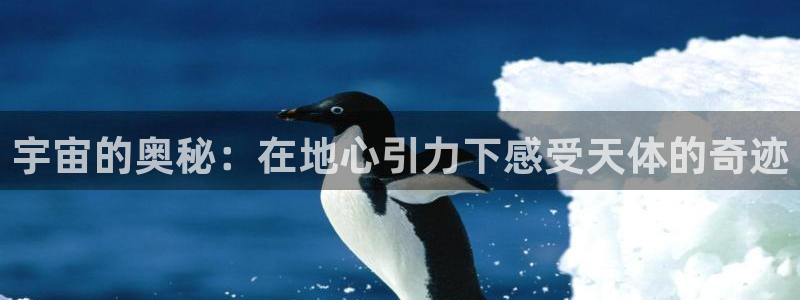 龙8国际官网版手机版