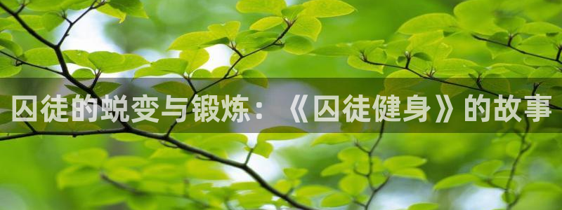 龙8国际官方网站苹果版