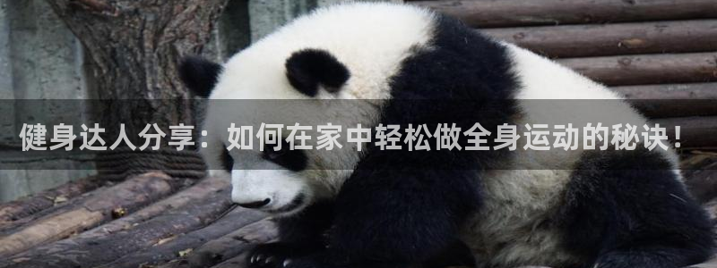 龙八国际下载链接