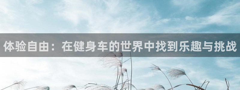 龙八国际娱乐平台网站