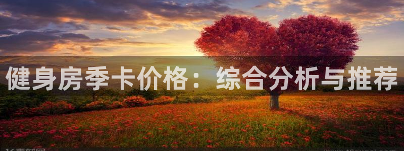 龙8国际pt