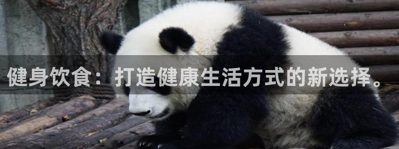 龙8国际怎么进不去了