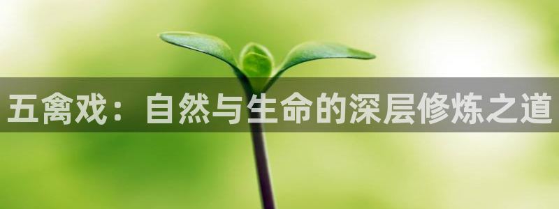 龙8国际网站怎么样