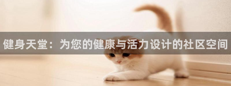龙8国际官网多少