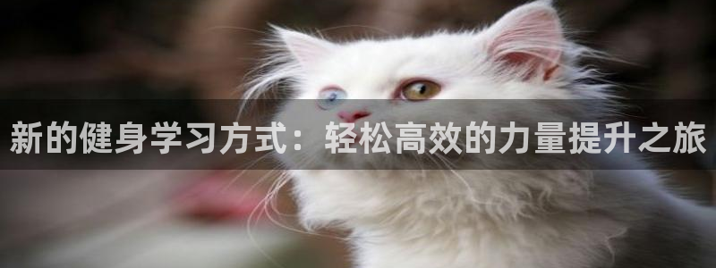 龙8游戏平台官方网站是多少