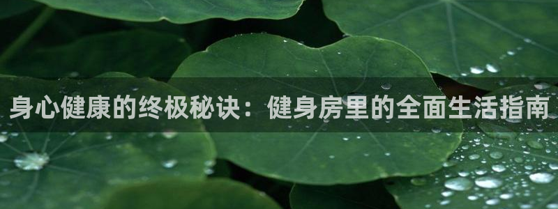 龙8国际2023官方版fxzls安卓-1.2.9 -安卓