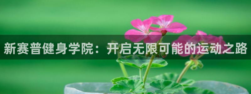 国际龙8hk