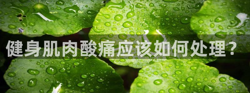 国际龙8唯一登陆