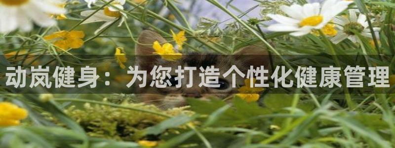 龙8国际真钱