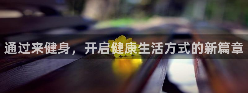 龙八国际官方网