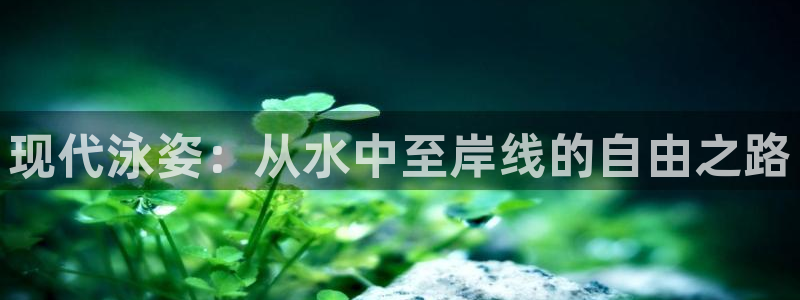 龙8国际app下载