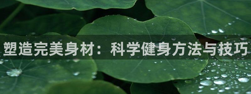 龙8国际真钱