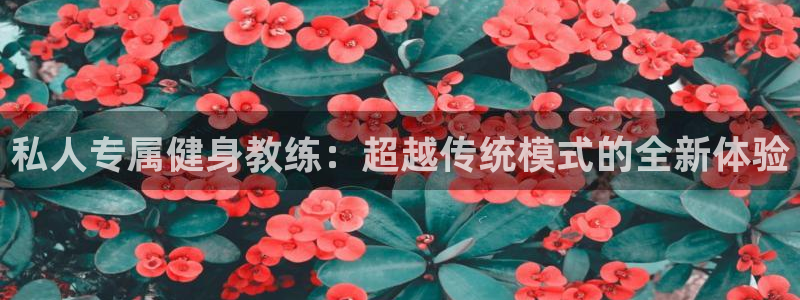 龙8娱乐国际城