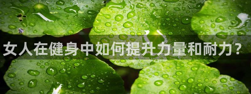 龙8国际官网官方版fxzls天地手游 -kc -安卓