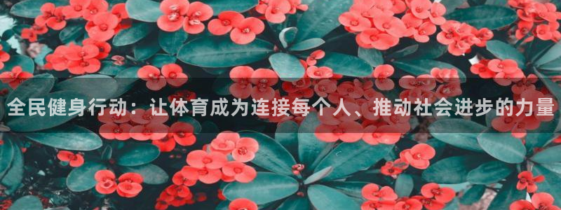 龙8国际版