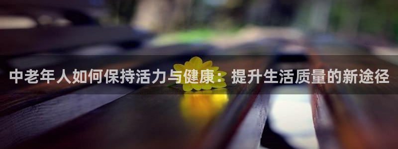龙 八国际