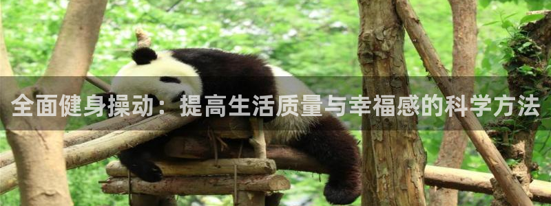 龙8国际手机版官网