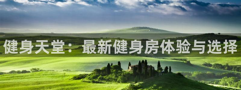 龙八国际服官网站