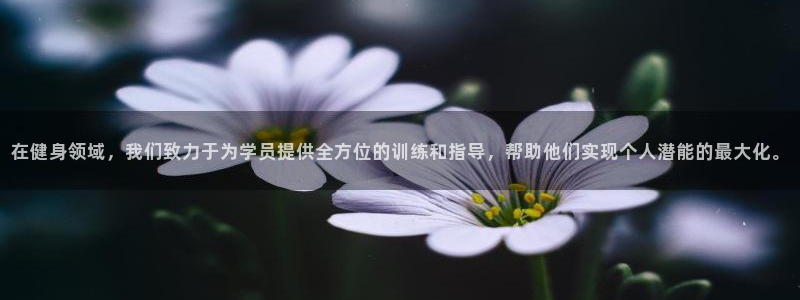 龙八国际网页