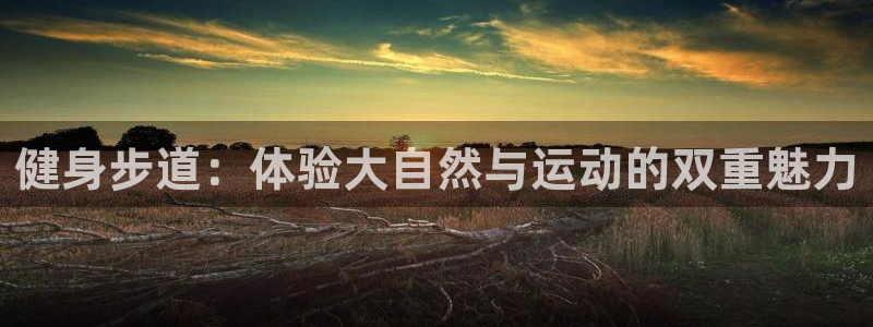 龙8国际官网多少
