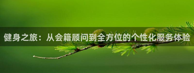 龙8国际pt