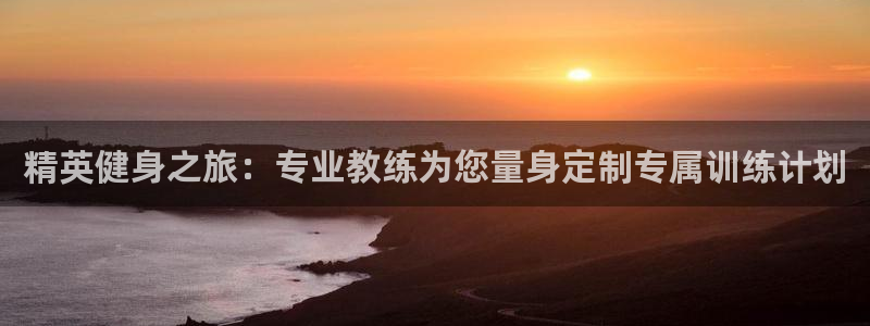 龙8国际官方网
