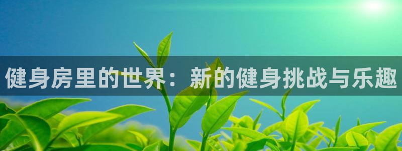 龙8国际官网正版